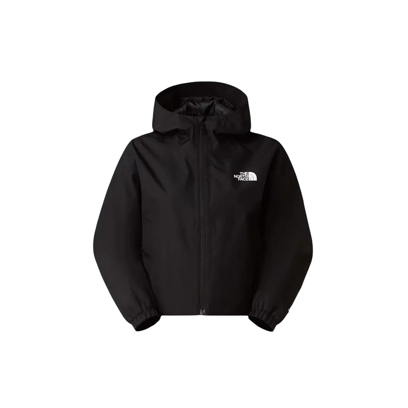 The North Face Femeie Jachete